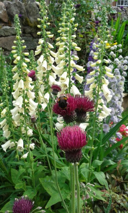 Greystoke Beech House B&B 외부 사진