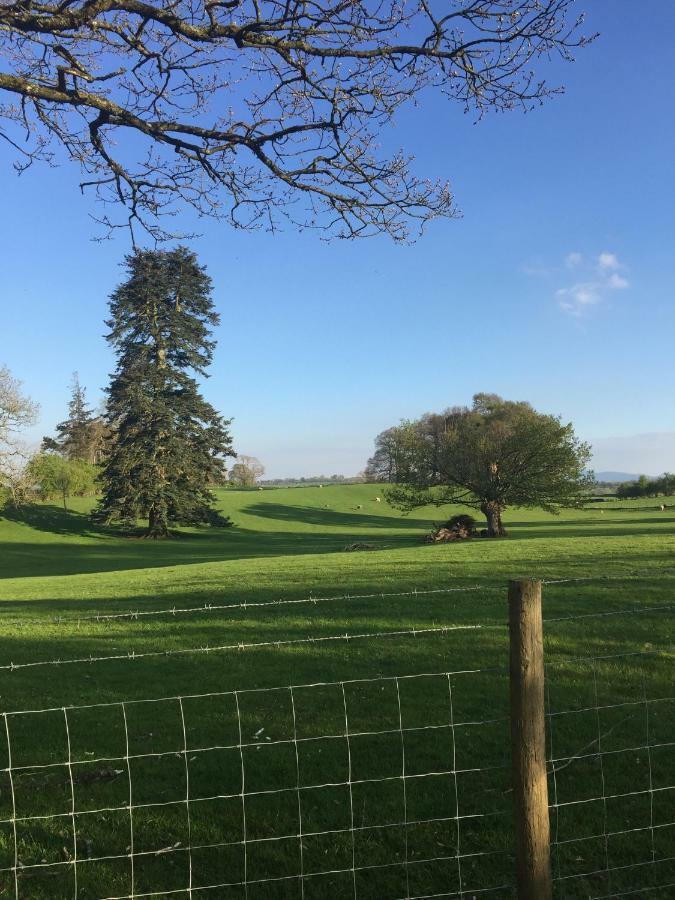 Greystoke Beech House B&B 외부 사진